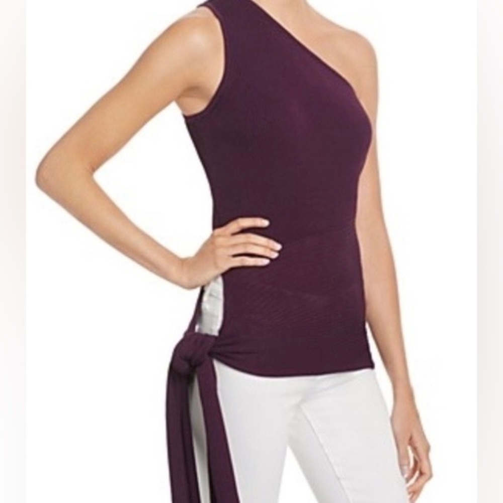 Ramy Brook Liana One Shoulder Rib Knit Top Merlot M Vacation Cocktail Party